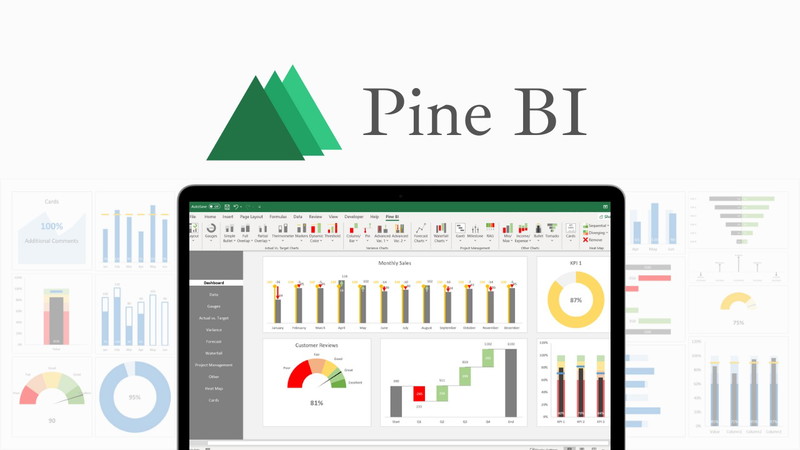 Pine BI