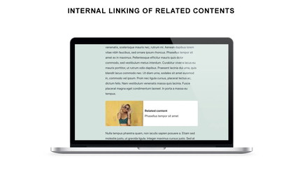 Internal Linking Related Contents