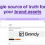 Brandy logo