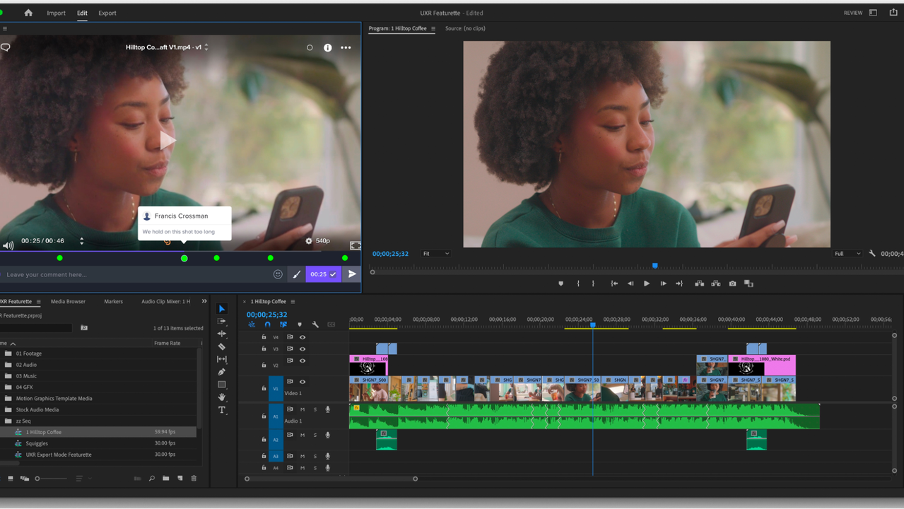 Frame.io panel within Premiere Pro