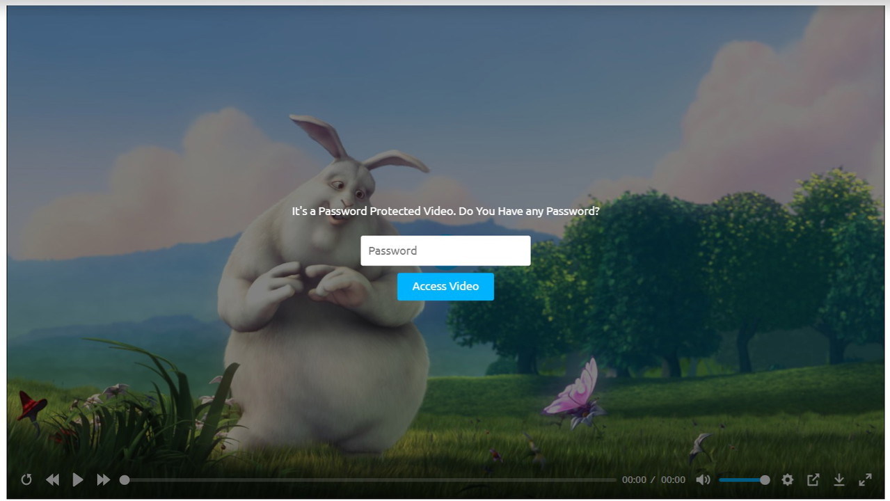 Html5 Video Player PRO