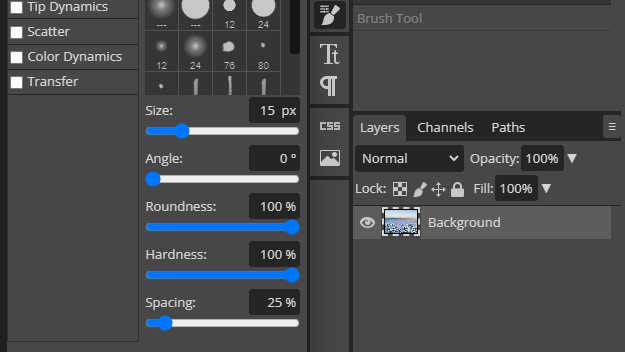 Edit brush setting