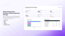 Weekly subscription email report showing subscribers, MRR, revenue, churn, refunds, plan performance, and customer distribution generated automatically from Stripe and Paddle data. thumbnail