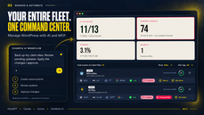 manage multiple sites thumbnail
