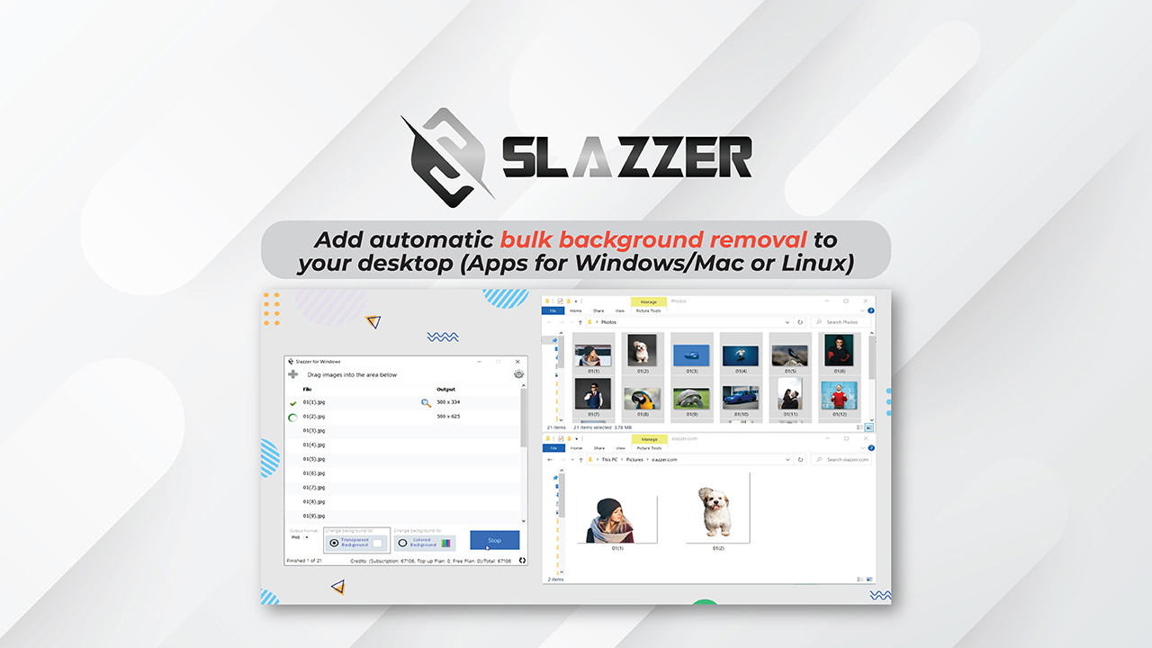 Slazzer