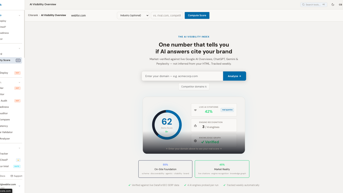 AI Visibility Audit