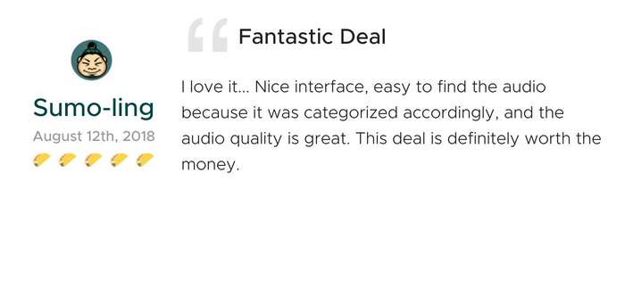 Lifetime Access to AudioHero