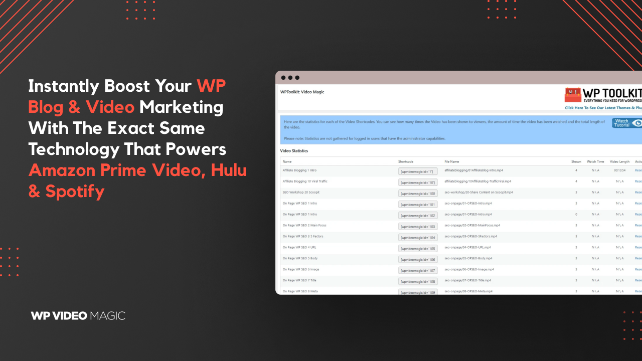 WP Video Magic Interface Screenshot
