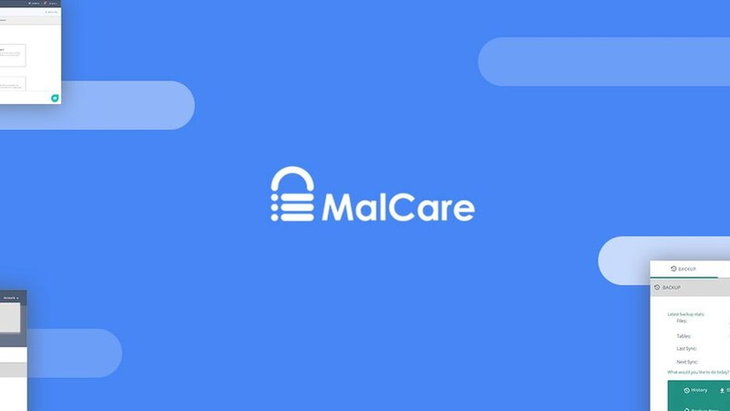 MalCare Security Business Plan
