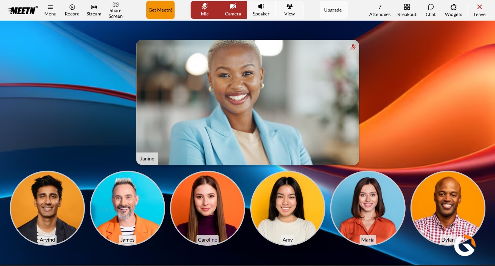User-friendly Zoom alternative