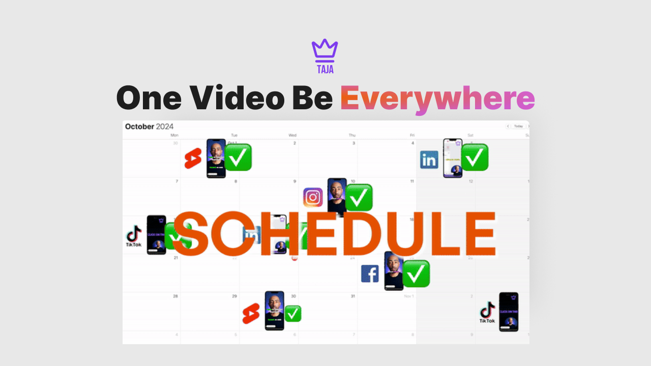 Taja dashboard showing video scheduling across platforms