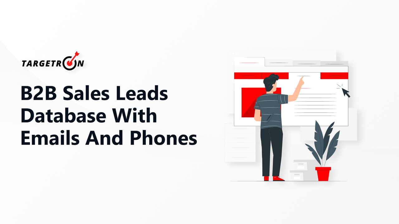 Targetron B2B Leads Directory Interface