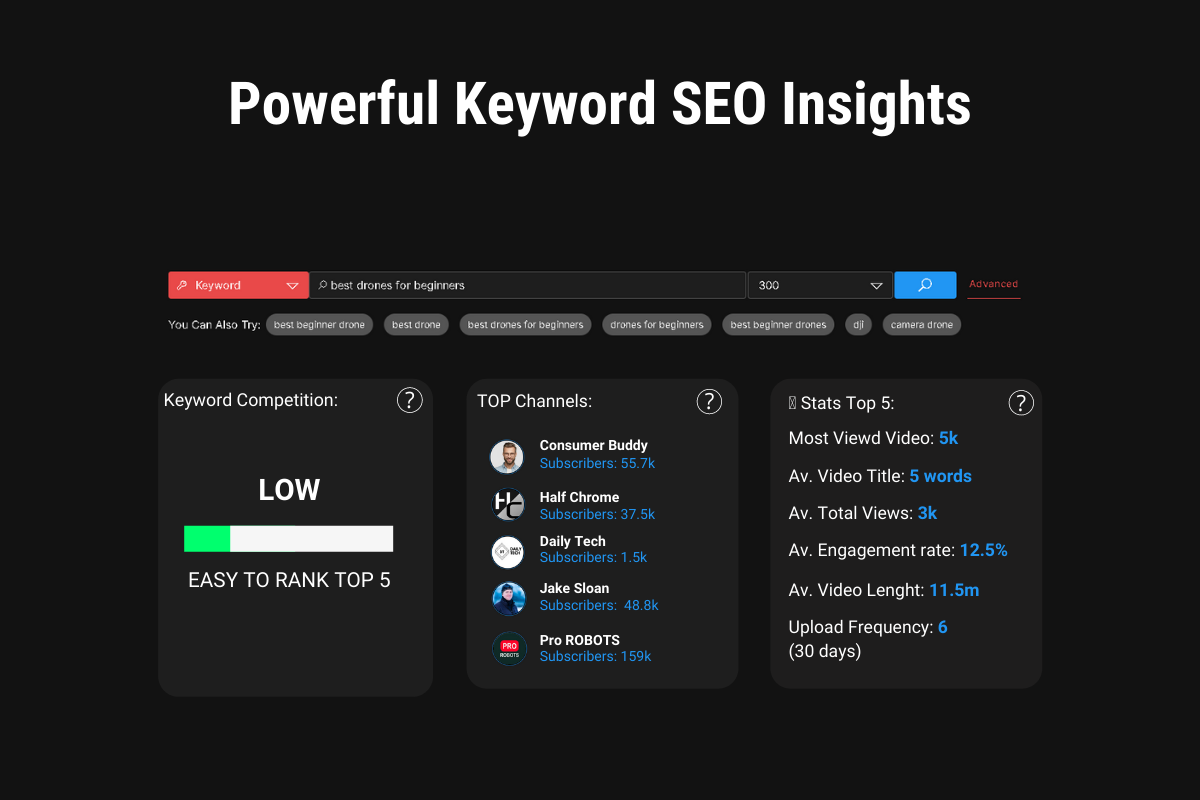 SEO insights