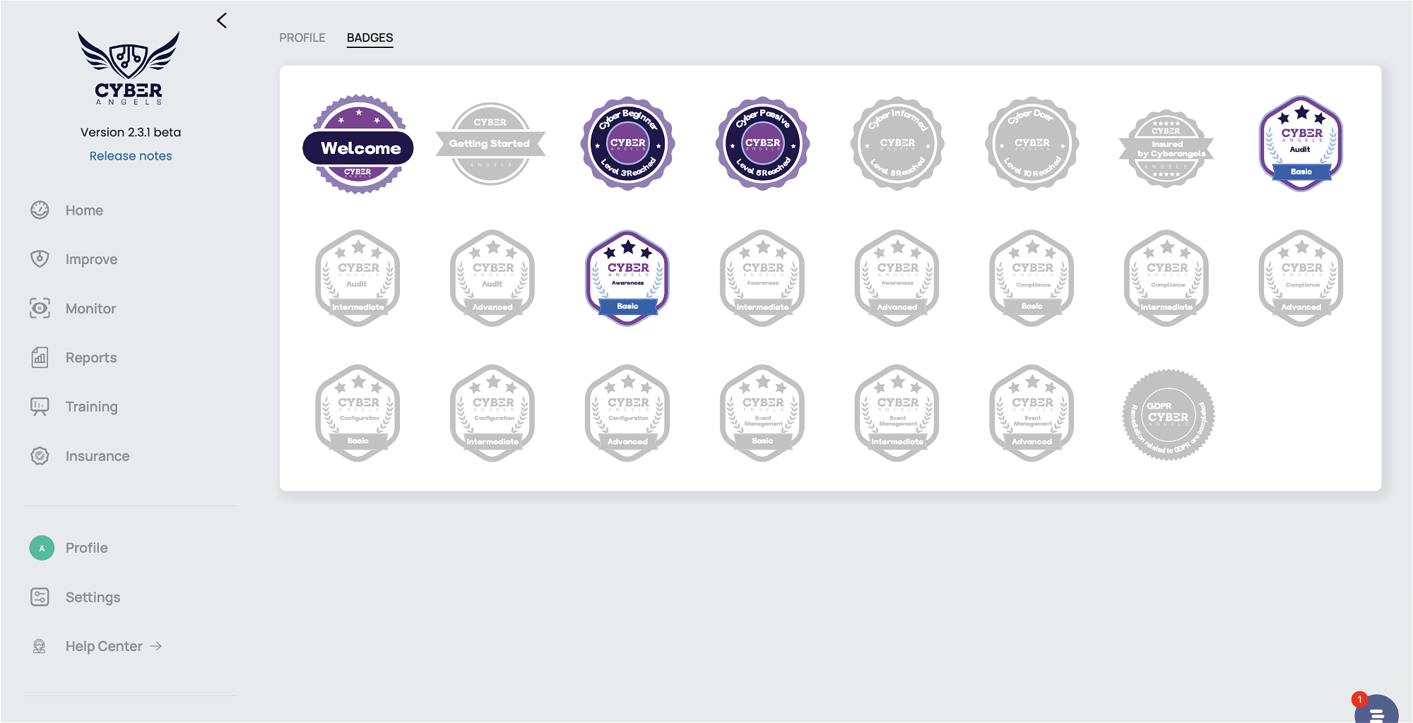 Gamification collectible badges