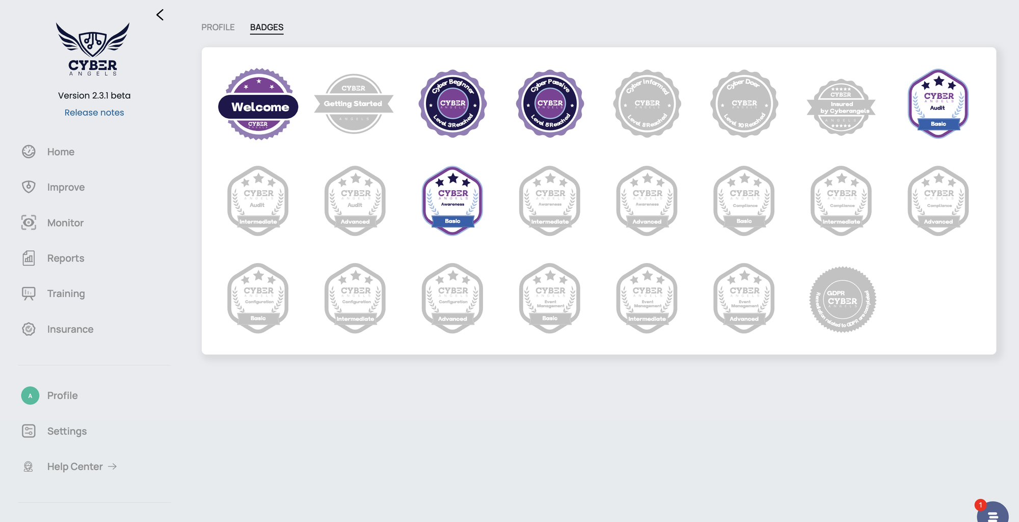 Gamification collectible badges