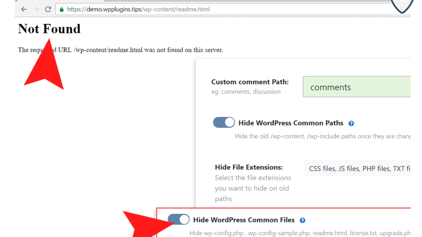 Hide WordPress common files