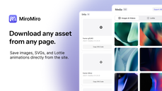 Downloaded assets thumbnail