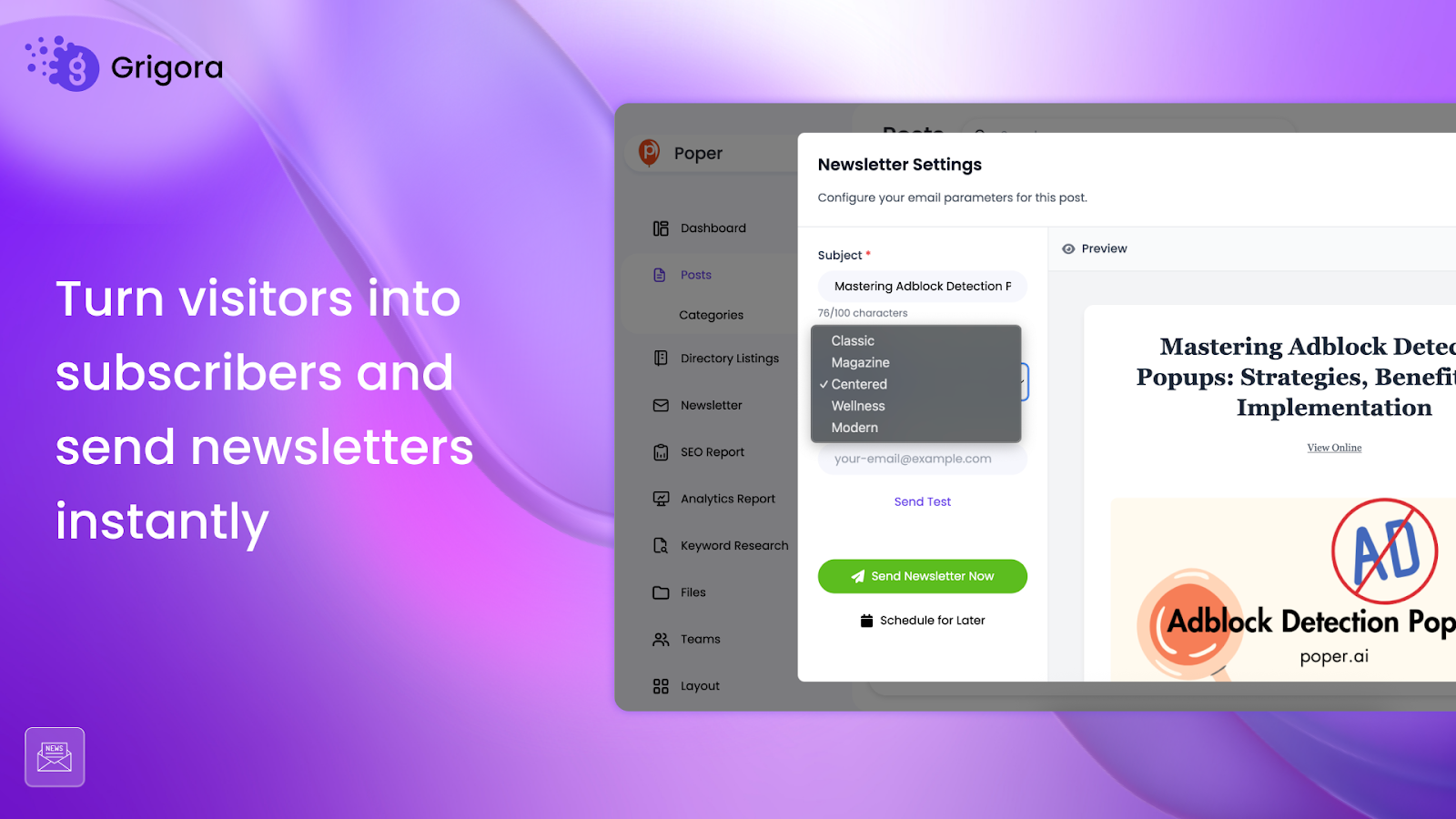 Newsletter management