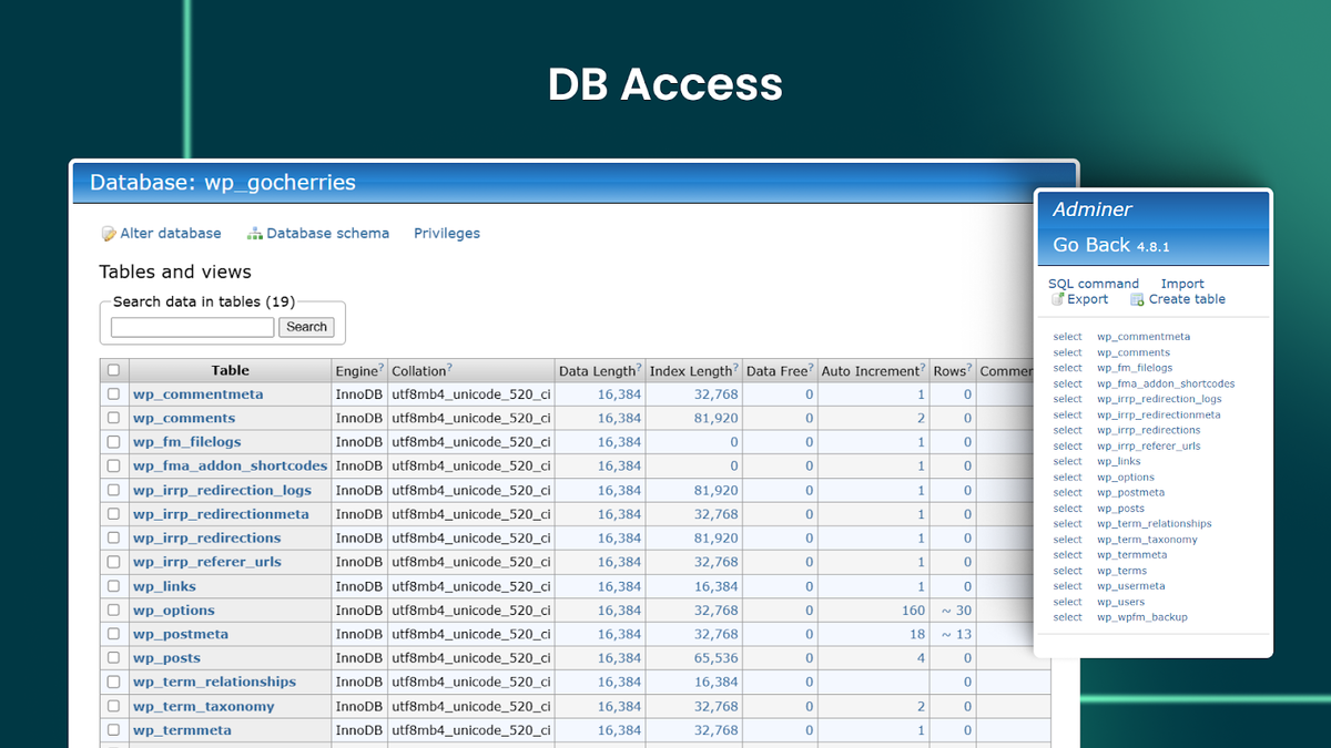 Database access via Adminer