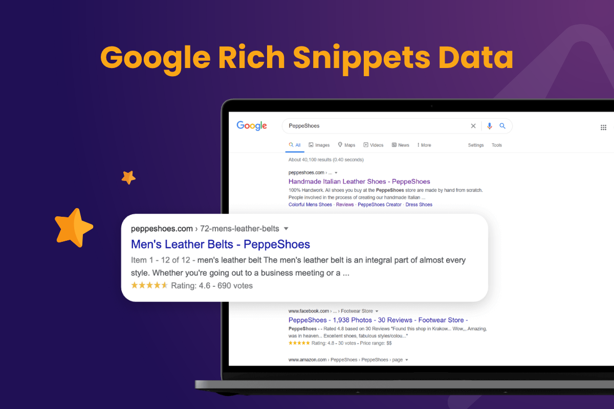 Google Rich Snippets Data