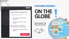 In product Survey example thumbnail
