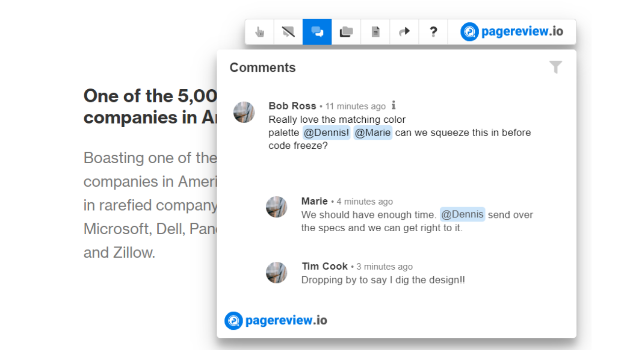 Pagereview