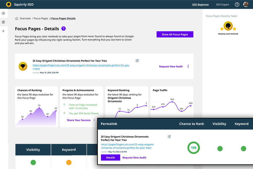 Squirrly Rank Tracking Dashboard