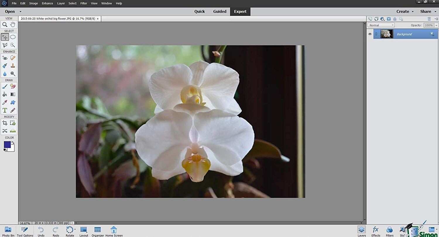 photoshop elements course