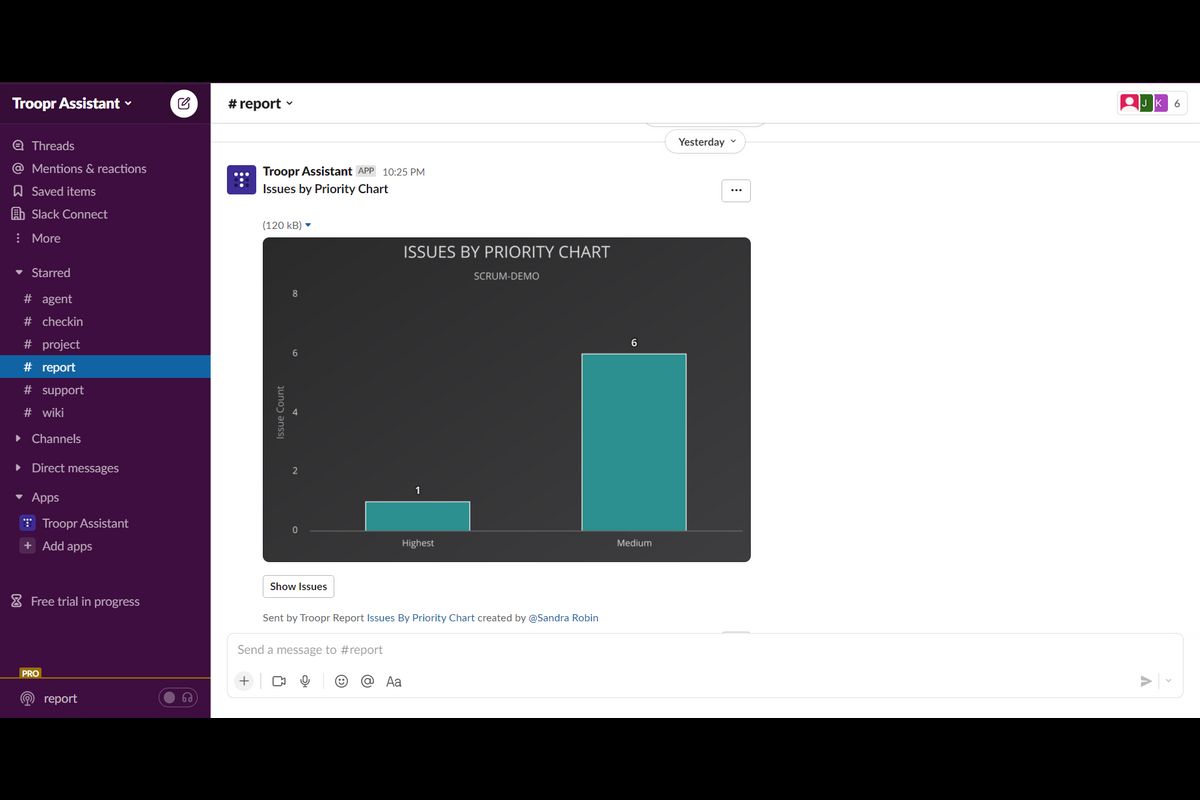 Project reports