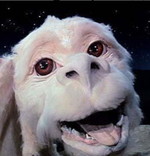 LuckDragonFalkor