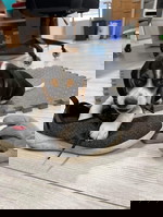 sean419
