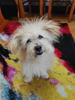 59f932a8898d4ffaabd30255630e25af