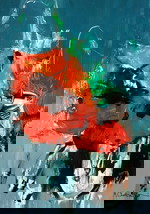 ArtegoGallery