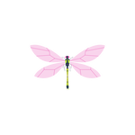 52d17a573804493b913b2f9e39fc1a79