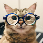 AInvestor