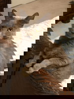 885b9efe04d14c6c9e326c0bb2ae943f