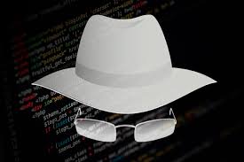 whitehat3260