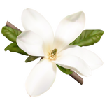 MagnoliaGeek