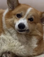 110708530961732587194